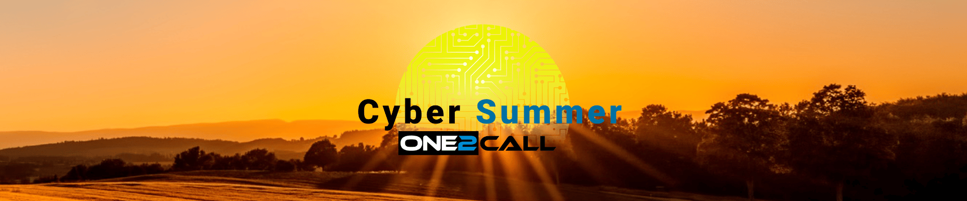 Cyber Summer - Software