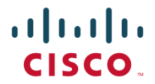 Cisco Systems